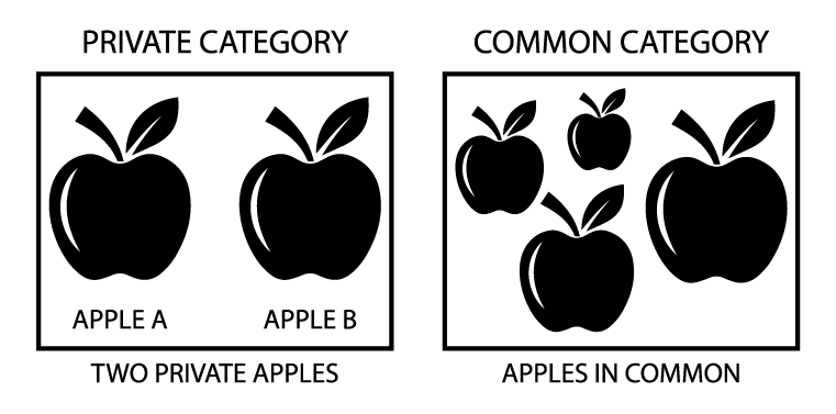 t-w-the-worldview-and-philosophical-methodology-of-41.png